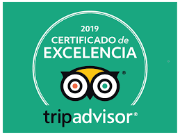 trip advisor neptuno whale experience tenerife boat excelencia excellence 2019