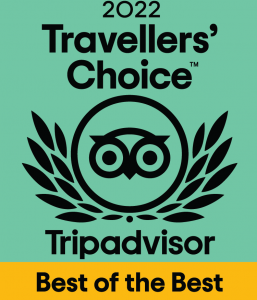 tripadvisor viator traveller choice 2022 neptuno whale experience 2022